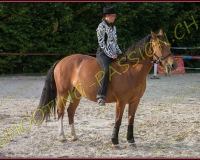 2-14juin445