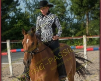 2-14juin454