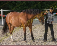 2-14juin479