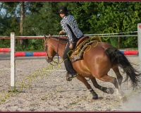 2-14juin497