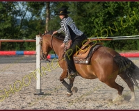 2-14juin499