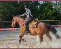 2-14juin500