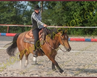 2-14juin510