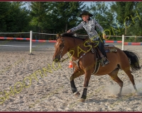 2-14juin515