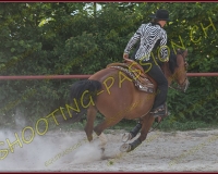 2-14juin520
