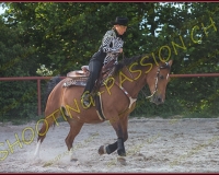 2-14juin528