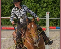2-14juin556