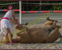 3-14juin006