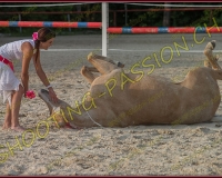 3-14juin011