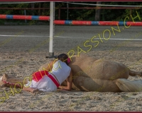 3-14juin014