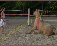 3-14juin016