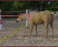 3-14juin017
