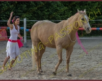 3-14juin025