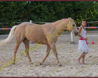 3-14juin027