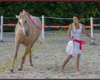 3-14juin029