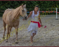 3-14juin031