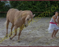 3-14juin035