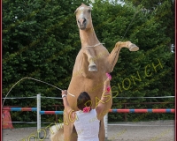 3-14juin047