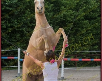 3-14juin051