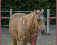 3-14juin055