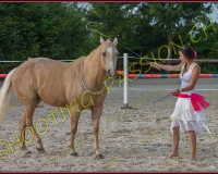 3-14juin062