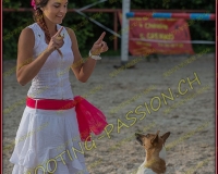 3-14juin078