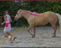 3-14juin119