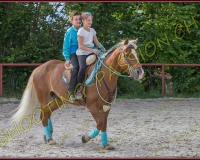 3-14juin126
