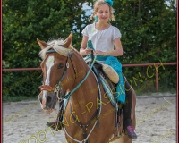 3-14juin131