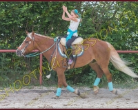 3-14juin137
