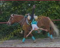 3-14juin150