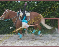 3-14juin154