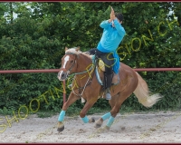 3-14juin189