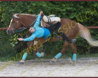 3-14juin223