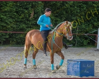 3-14juin232