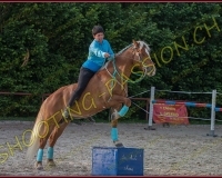 3-14juin238