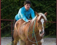3-14juin250