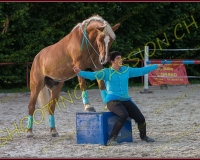 3-14juin258