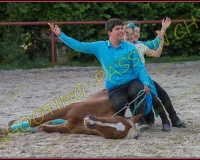 3-14juin270