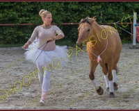 3-14juin314