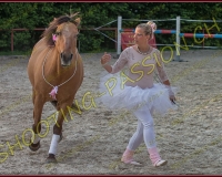 3-14juin317