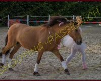 3-14juin318