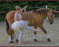 3-14juin334