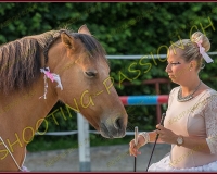 3-14juin336