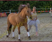 3-14juin341
