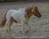 3-14juin346