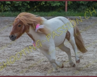 3-14juin353