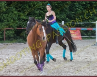 3-14juin365