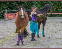 3-14juin375