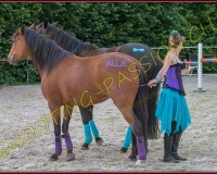 3-14juin379